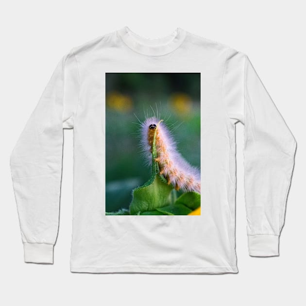 Caterpillar Long Sleeve T-Shirt by searchlight